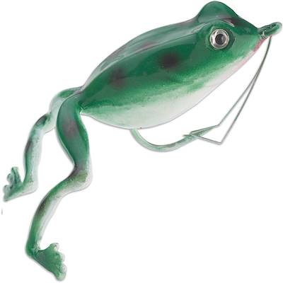 Green/White Superior Frog