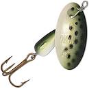Spotted Sea Trout 