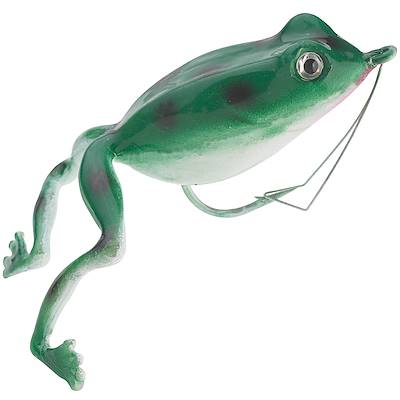 Green/White Superior Frog