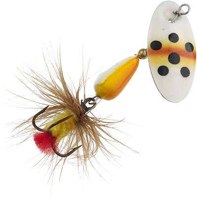Brown Trout Dressed