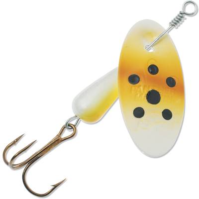 Undressed Brown Trout