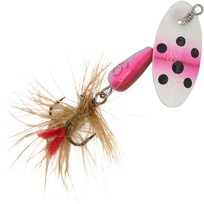 Rainbow Trout Dressed