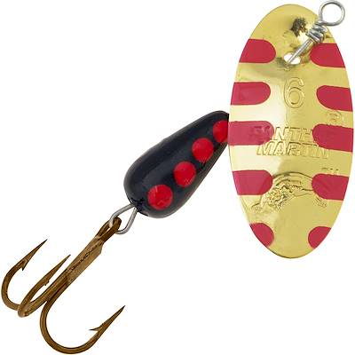 Gold Salamander
