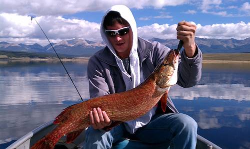Kyle Sweeney's Fish