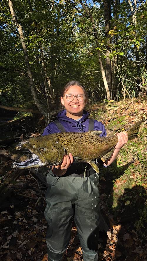 Stephen  Schira's Fish