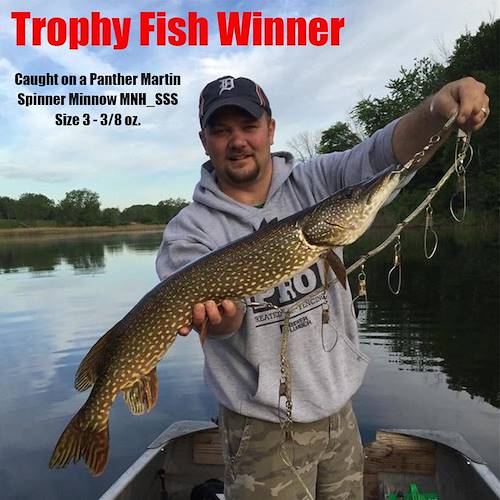 Matthew Scott's Fish