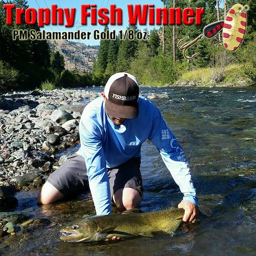 Gabriel Beaudry's Fish