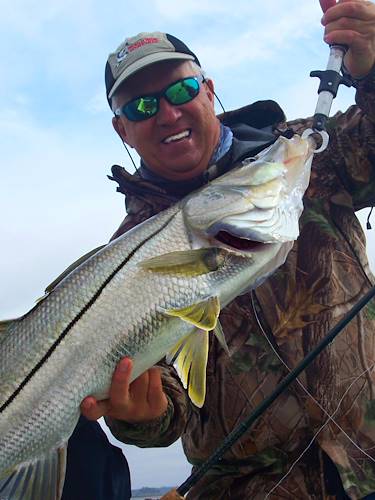 Earl Waters's Fish