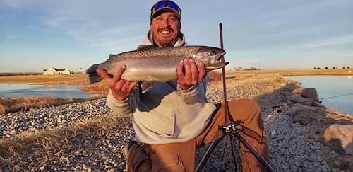 Robert Guzman's Fish