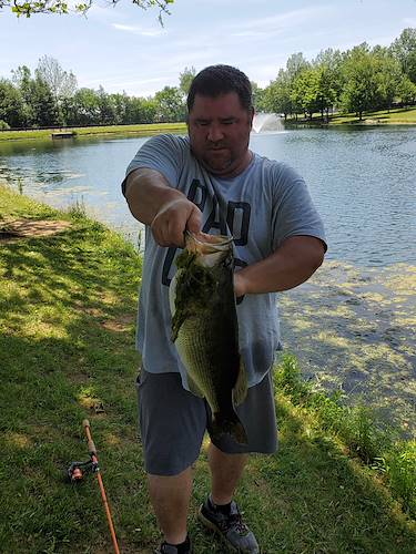 Richard Nischan's Fish