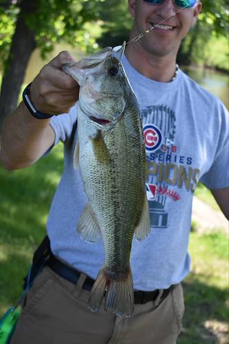 Kevin Lucas's Fish