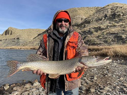 Mark Peacock's Fish