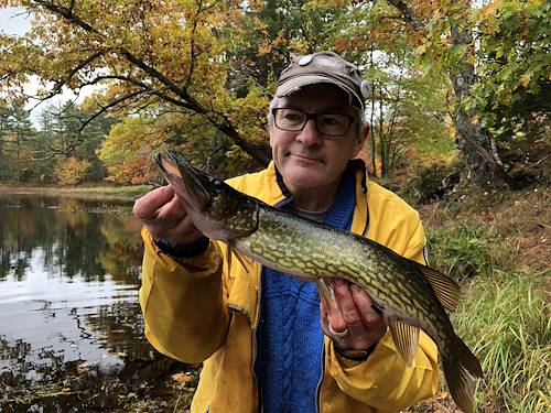 Charles Weiss's Fish
