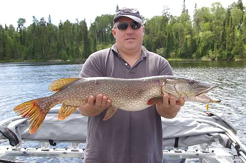 Perry Kohne's Fish
